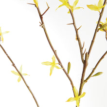 Load image into Gallery viewer, FORSYTHIA STEMS 47", SET OF 6
