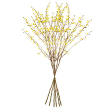 Load image into Gallery viewer, FORSYTHIA STEMS 47", SET OF 6

