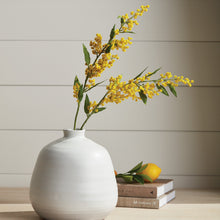Load image into Gallery viewer, MIMOSA STEMS 27.5", SET OF 6
