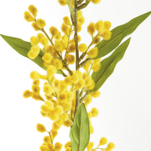 Load image into Gallery viewer, MIMOSA STEMS 27.5", SET OF 6
