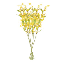 Load image into Gallery viewer, MIMOSA STEMS 27.5", SET OF 6
