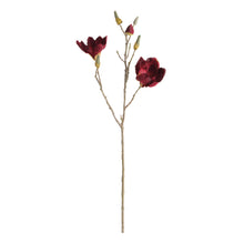 Load image into Gallery viewer, MAGNOLIA STEMS 27" ST/4

