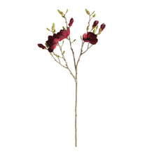 Load image into Gallery viewer, MAGNOLIA BRANCHES 34" ST/4
