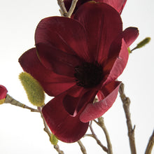 Load image into Gallery viewer, MAGNOLIA BRANCHES 34" ST/4
