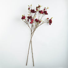 Load image into Gallery viewer, MAGNOLIA BRANCHES 50" ST/2
