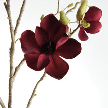 Load image into Gallery viewer, MAGNOLIA BRANCHES 50" ST/2

