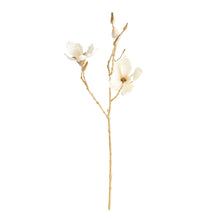 Load image into Gallery viewer, GILDED MAGNOLIA STEMS 27" ST/6
