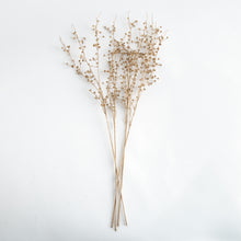 Load image into Gallery viewer, GILDED BABY'S BREATH STEMS 31" ST/4
