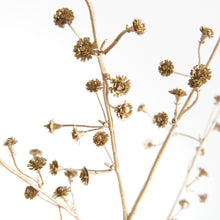 Load image into Gallery viewer, GILDED BABY'S BREATH STEMS 31" ST/4
