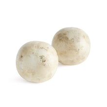 Load image into Gallery viewer, ARABELLA ORB MEDIUM ST/2
