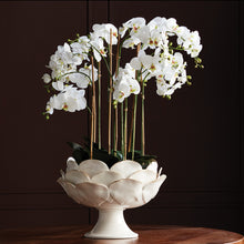 Load image into Gallery viewer, DI ROSA GRANDE FOOTED DECORATIVE BOWL
