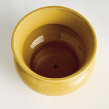 Load image into Gallery viewer, CORA POT

