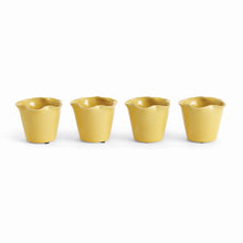 Load image into Gallery viewer, LYDIA MINI POTS, SET OF 4
