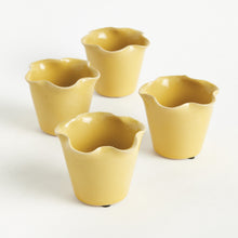 Load image into Gallery viewer, LYDIA MINI POTS, SET OF 4
