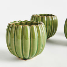 Load image into Gallery viewer, LEANNA MINI POTS ST/4
