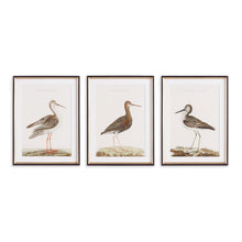 Load image into Gallery viewer, WANDERING BIRDS STUDY, SET OF 3
