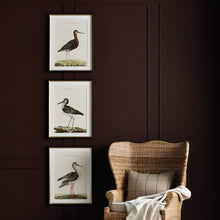 Load image into Gallery viewer, WANDERING BIRDS STUDY, SET OF 3
