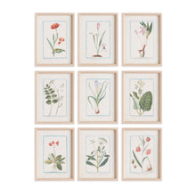 Load image into Gallery viewer, DAINTY FLORA &amp; FAUNA STUDY, SET OF 9
