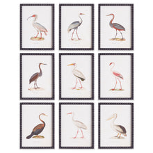 Load image into Gallery viewer, AQUATIC BIRDS STUDY, SET OF 9
