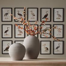 Load image into Gallery viewer, AQUATIC BIRDS STUDY, SET OF 9
