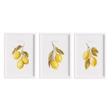 Load image into Gallery viewer, LEMON CUTTINGS STUDY, SET OF 3
