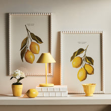 Load image into Gallery viewer, LEMON CUTTINGS STUDY, SET OF 3
