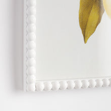 Load image into Gallery viewer, LEMON CUTTINGS STUDY, SET OF 3
