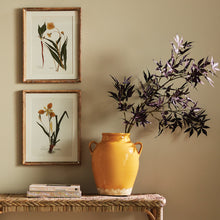 Load image into Gallery viewer, ASSORTED PRESSED FLOWER STUDY ST/4
