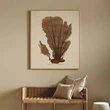 Load image into Gallery viewer, CORAL FAN GICLEE
