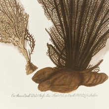 Load image into Gallery viewer, CORAL FAN GICLEE
