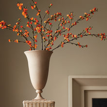 Load image into Gallery viewer, PIETRA FOOTED URN
