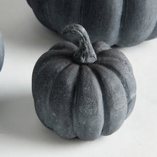 Load image into Gallery viewer, SCULPTED PUMPKINS ST/3
