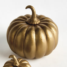 Load image into Gallery viewer, SCULPTED PUMPKINS ST/3
