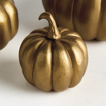 Load image into Gallery viewer, SCULPTED PUMPKINS ST/3
