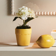 Load image into Gallery viewer, MIRABELLE MINI CACHEPOTS, SET OF 6
