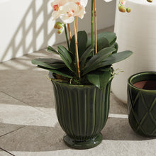 Load image into Gallery viewer, KATHRYN POTS, SET OF 2

