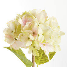 Load image into Gallery viewer, HYDRANGEA STEMS 18", SET OF 6
