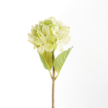 Load image into Gallery viewer, HYDRANGEA STEMS 18", SET OF 6
