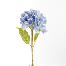 Load image into Gallery viewer, HYDRANGEA STEMS 18", SET OF 6
