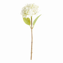 Load image into Gallery viewer, HYDRANGEA STEMS 18", SET OF 6

