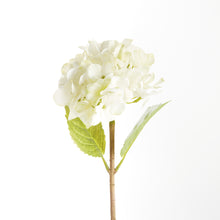 Load image into Gallery viewer, HYDRANGEA STEMS 18", SET OF 6

