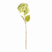 Load image into Gallery viewer, MOPHEAD HYDRANGEA STEMS 30.5", SET OF 4
