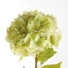 Load image into Gallery viewer, MOPHEAD HYDRANGEA STEMS 30.5", SET OF 4
