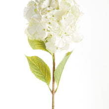 Load image into Gallery viewer, MOPHEAD HYDRANGEA STEMS 30.5", SET OF 4

