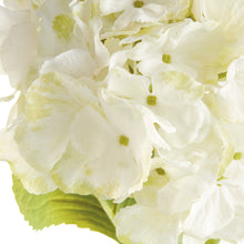 Load image into Gallery viewer, MOPHEAD HYDRANGEA STEMS 30.5", SET OF 4
