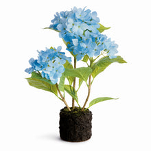 Load image into Gallery viewer, HYDRANGEA DROP-IN 18"
