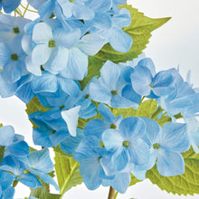 Load image into Gallery viewer, HYDRANGEA DROP-IN 18"
