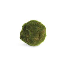 Load image into Gallery viewer, MOSS ORBS 4" ST/6
