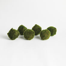 Load image into Gallery viewer, MOSS ORBS 4" ST/6
