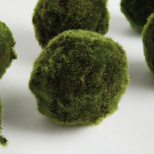 Load image into Gallery viewer, MOSS ORBS 4" ST/6
